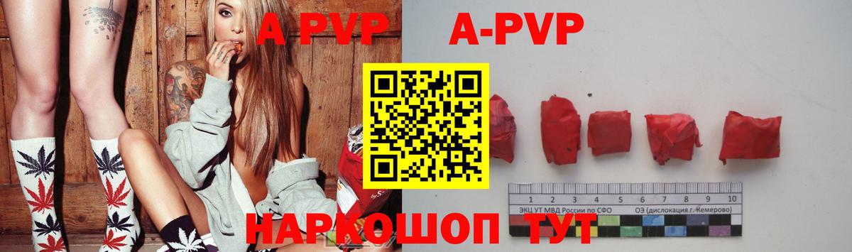 Альфа ПВП СК Боровичи