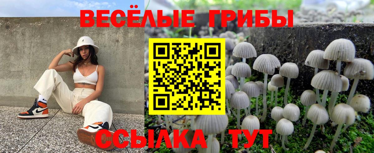 Псилоцибиновые грибы Cubensis  Вход с VPN  Псилоцибиновые грибы Psilocybine cubensis  Боровичи 