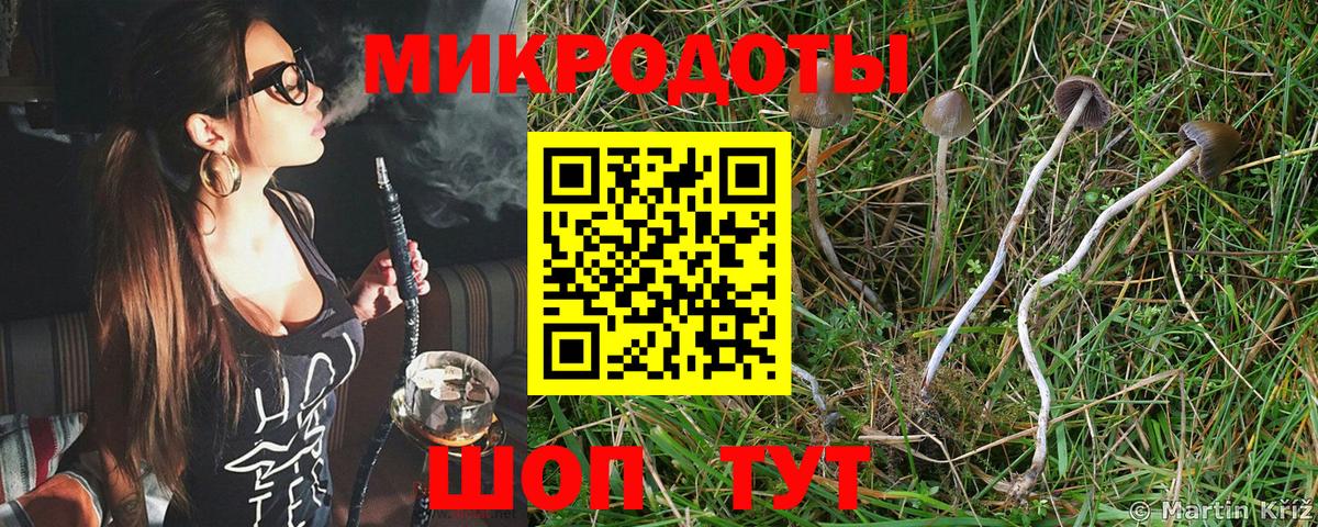 Псилоцибиновые грибы мицелий Боровичи